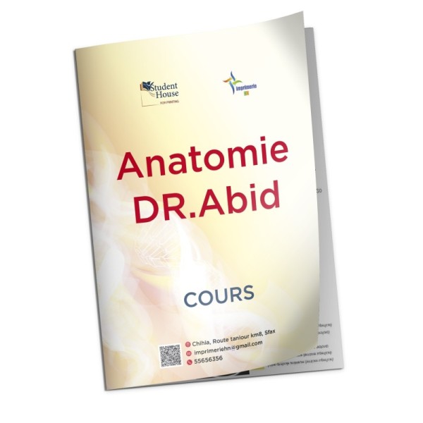 anatomie abid