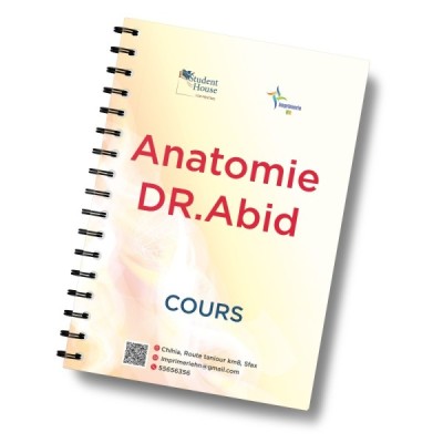 anatomie abid
