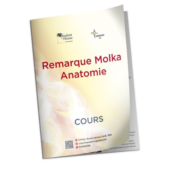 Remarque molka anatomie
