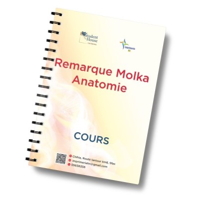 Remarque molka anatomie